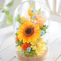造花ギフト フラワー ガラスドーム プリザードフラワー 誕生日 記念日 イエロー ガラスドームフラワー】イエローガーベラのアレンジ～プリザーブド