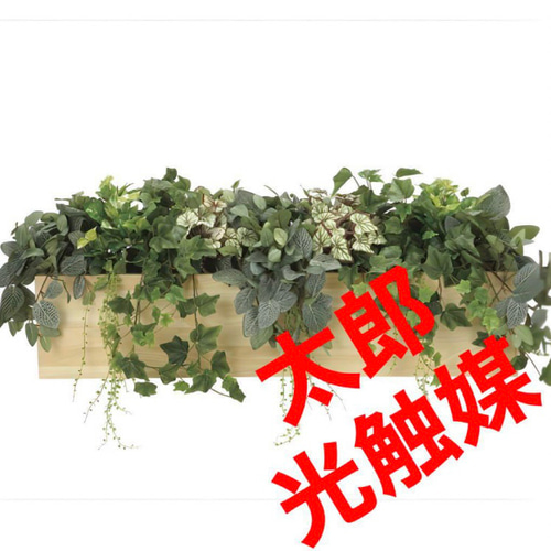 光触媒人工観葉植物ウォールグリーン壁掛けウッドボックスLa