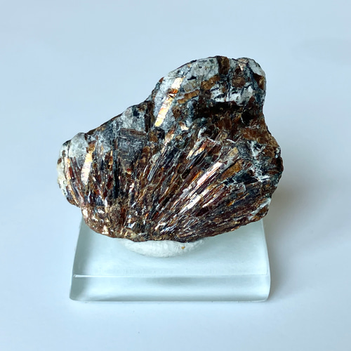 アストロ〜☆ Astrophyllite アストロフィライト 星葉石 原石
