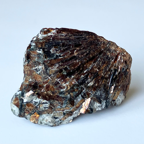 アストロ〜☆ Astrophyllite アストロフィライト 星葉石 原石