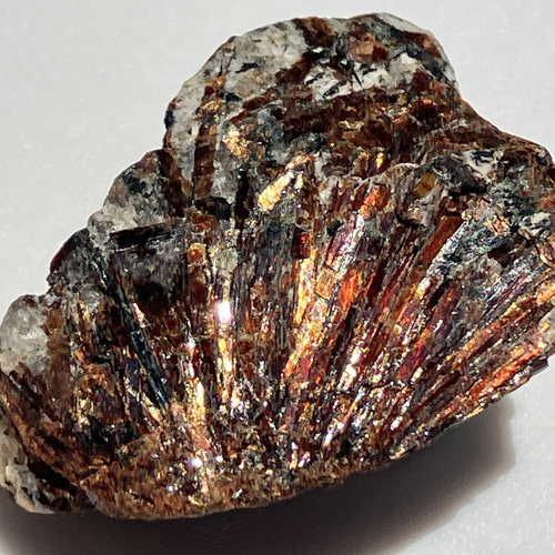 アストロ〜☆ Astrophyllite アストロフィライト 星葉石 原石