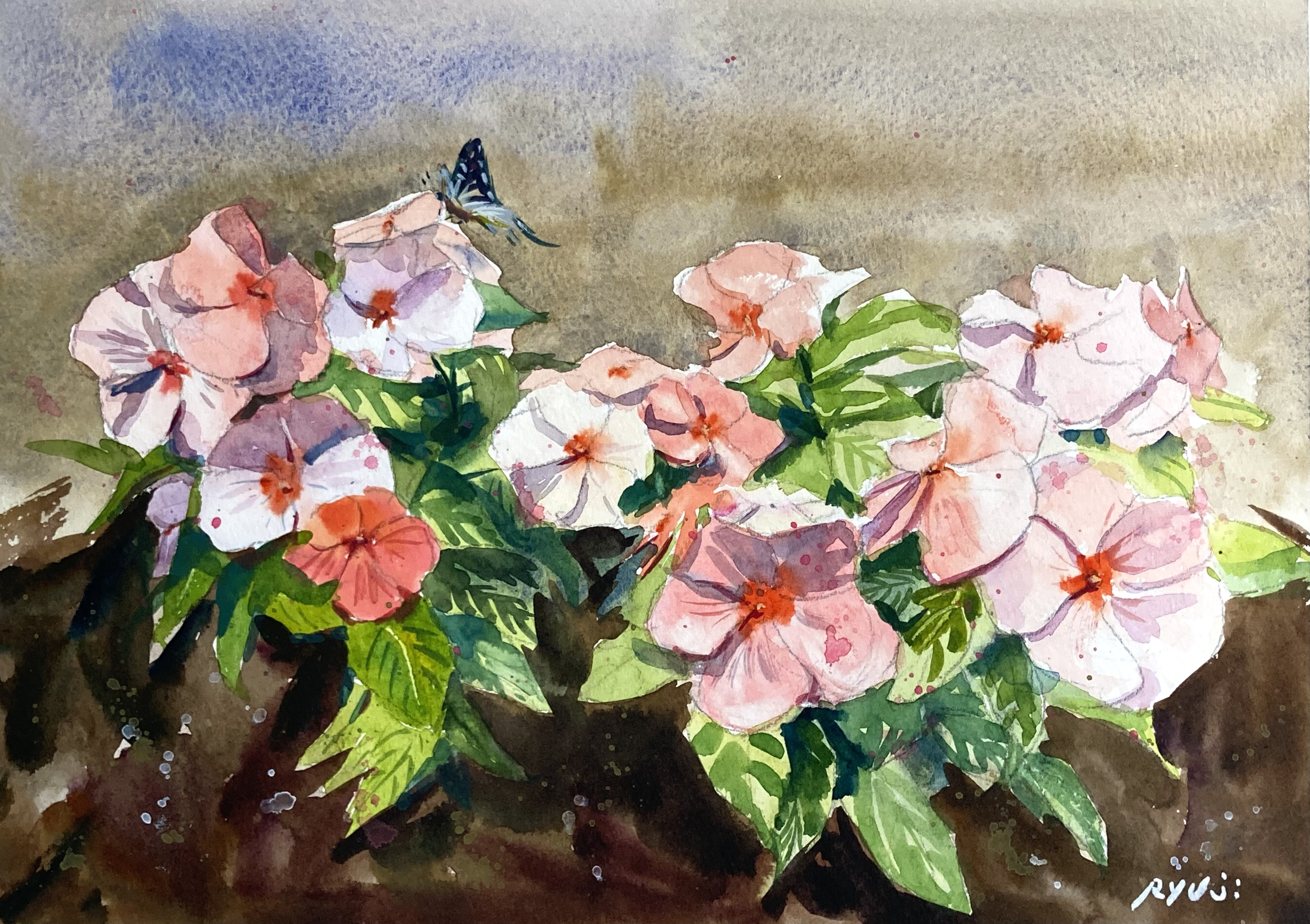 ※水彩画(花)№206 水彩画】原画「 ニチニチソウ」F4：242×332 mm #花 #flower