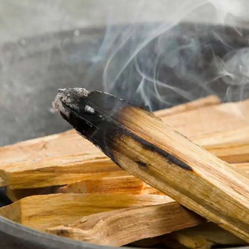 パロサント フレグランスのような香木 自然が生み出した聖なる木 お香