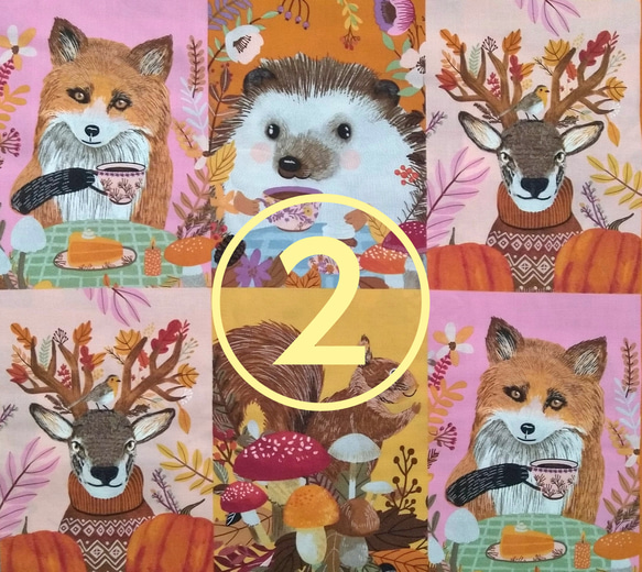 USAコットン 輸入生地 ハギレ《autumn friends》② 生地 senne 通販 