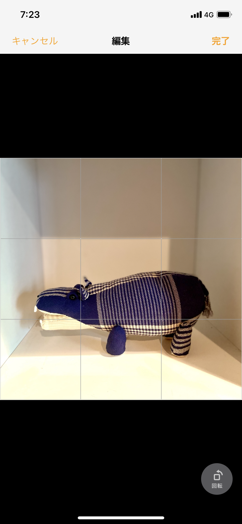 青のカバオ君(24cm)