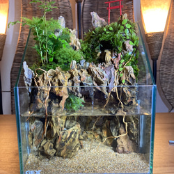 水の流れるアクアテラリウム　気孔石 9e431b8e1879c0861ef147b8731f82