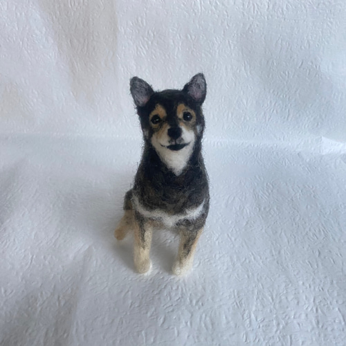 なつゆず様 オーダーメイド 羊毛フェルト 愛犬 ぬいぐるみ 犬 わん 