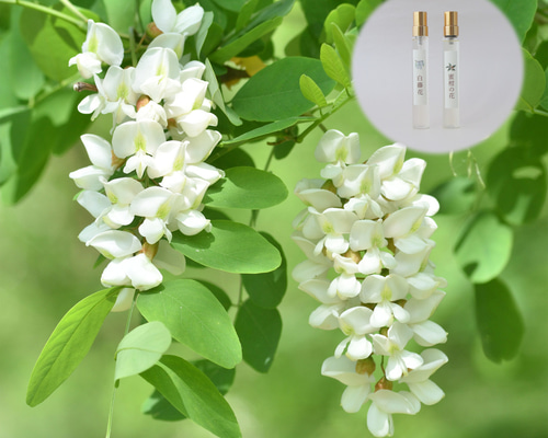 cf204deb076f05965b1a8e8724aeba