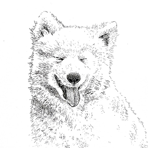 【 オーダー 】似顔絵 ペット ☆うちの子オーダー2025☆ ペット 似顔絵 アートボード 家族 犬 猫 鳥