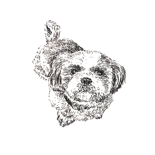 ペン画】ペットの似顔絵オーダー イラスト Hinako 通販 17867912