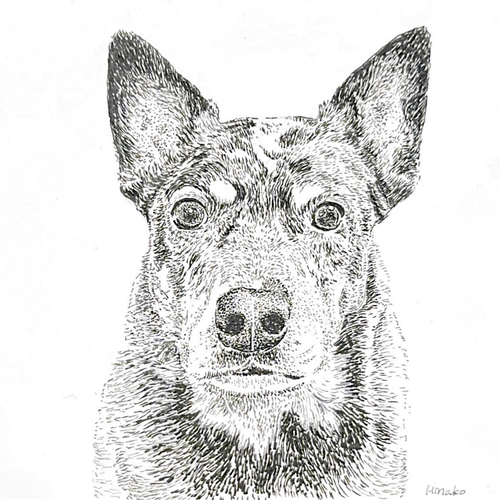ペン画】ペットの似顔絵オーダー イラスト Hinako 通販 17867912