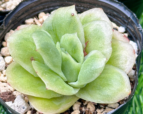 e15d10e22a9883db913c181f688fac