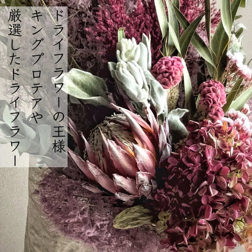 【限定品】 赤系 パンパスグラス キングプロテア 紫陽花 スモークツリー フラワー・リース