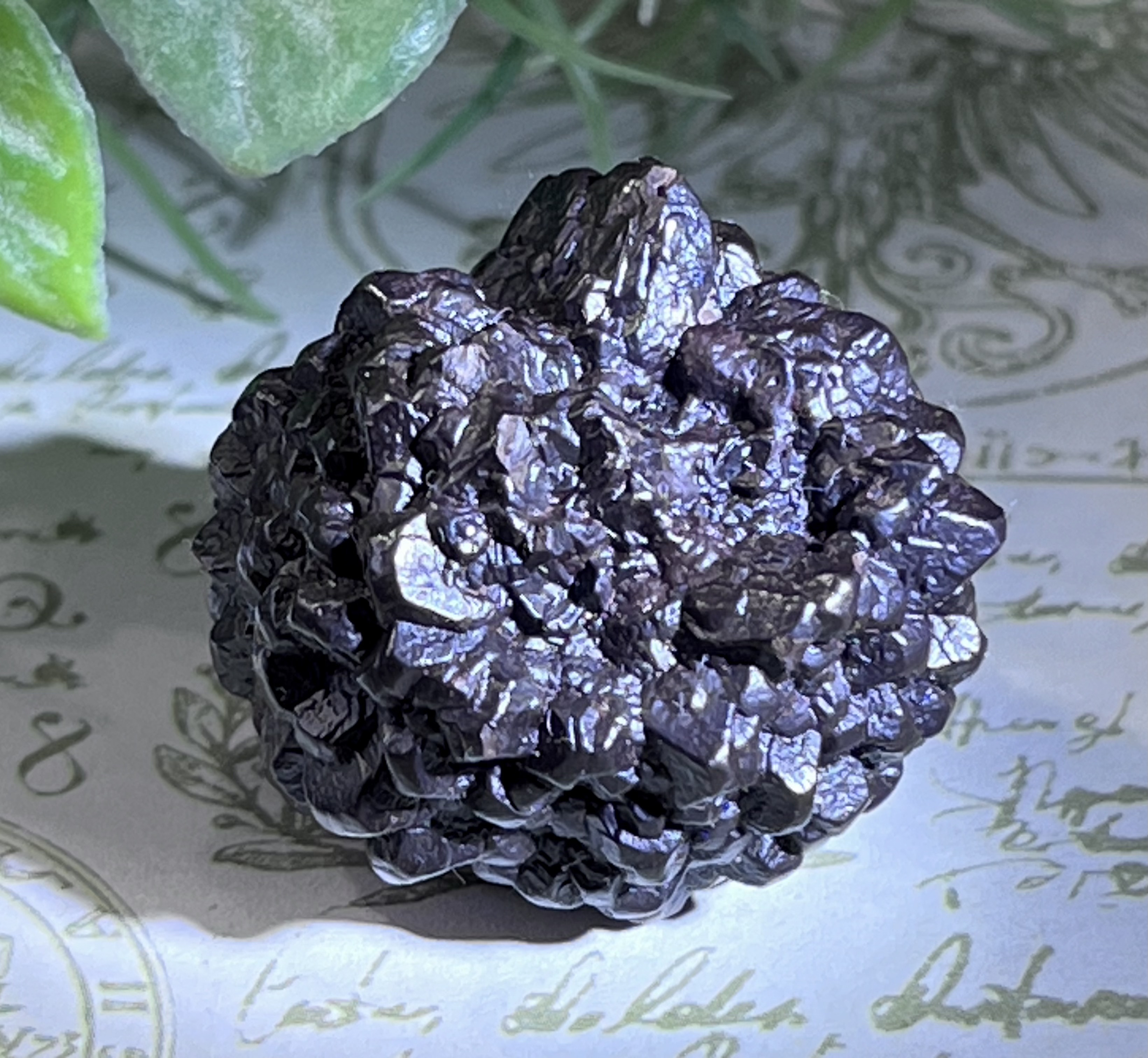 エジプトの星✴︎ ゼットストーン プロフェシーストーン マーカサイト カルマ解放 エジプトの星✴︎ ゼットストーン プロフェシーストーン マーカサイト