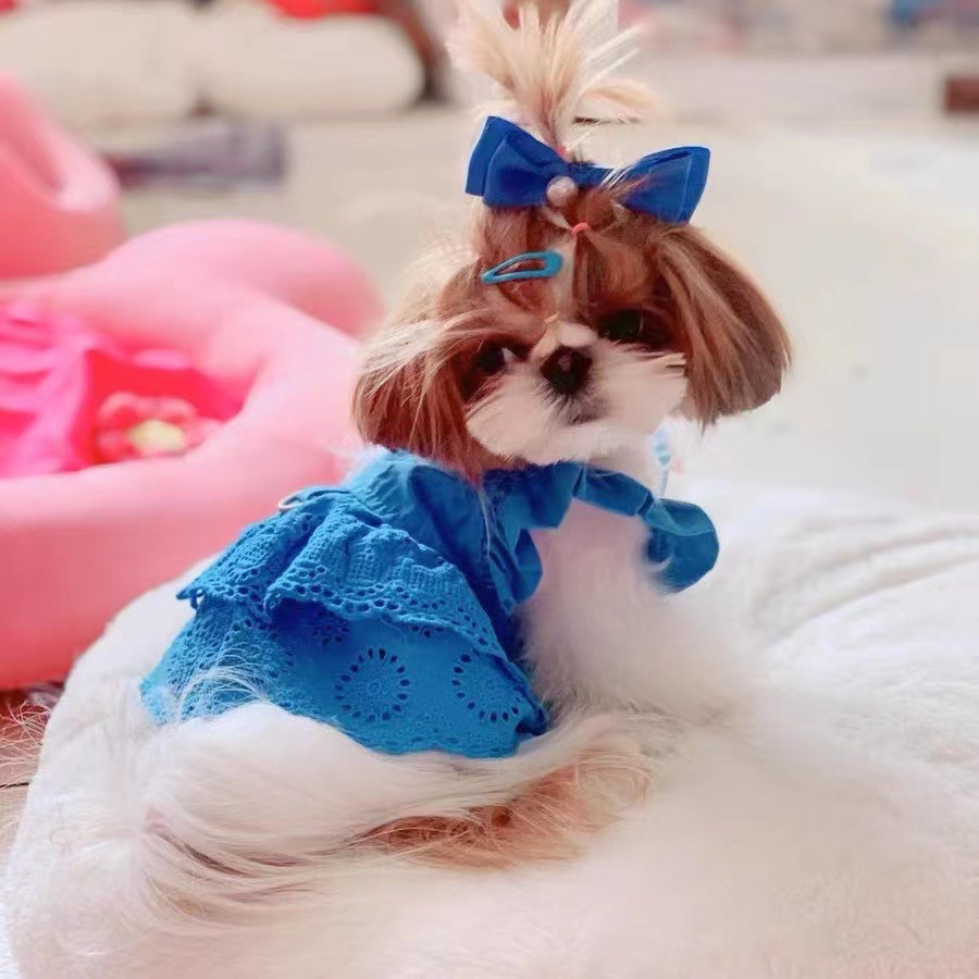 犬服ハンドメイド バルーンワンピース 悔しい 売買されたオークション 
