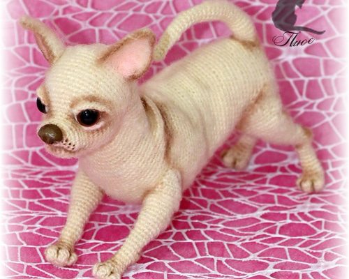 編みぐるみ♡鯉のぼり♡チワワちゃん♡５月♡ 9346e06a5a13cdf57cb50f5e75c157