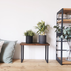 ボタニカルシェルフ アイアン 観葉植物棚 アガベ育成棚 W800 3段 ボタニカルシェルフ w800 植物棚 アイアンシェルフ 3段 家具