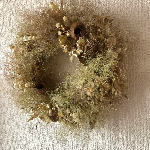 スモークツリーのドライフラワーリース　季節の花材のインテリア スモークツリー ドライフラワーリース 森のリース ナチュラル