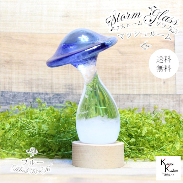 クリアベルモホワイト 15ポンド2オンス クリア STORM ホワイト ベルモ