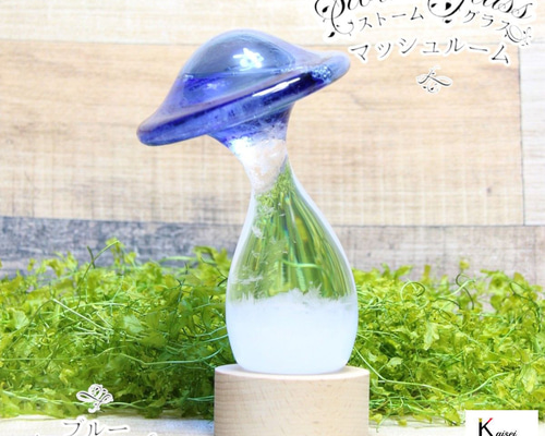 訳ありボトル参考写真と『ストームグラスについて』 54b6a4c1103cb84ca0bc15deec4b73