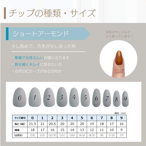 サイズ計測用チップ ネイルチップ（つけ爪） cotoha_nail 通販