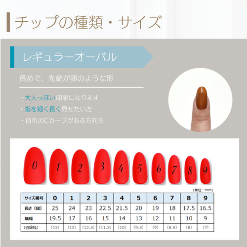 サイズ計測用チップ ネイルチップ（つけ爪） cotoha_nail 通販