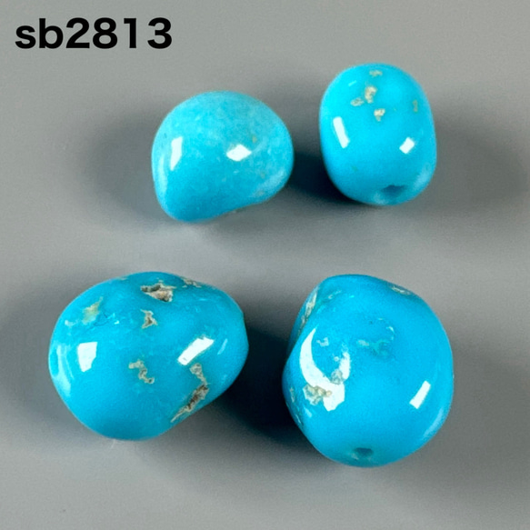 スリーピングビューティー ターコイズ 中2個 小2個 計4個 sb2813 スリーピングビューティー ターコイズ 中2個 小2個 計4個 sb2813