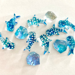 【4点セット】ジンベイザメと海の雫　ピアスセット　ジンベエザメ 鮫　【受注制作】 6枚目の画像
