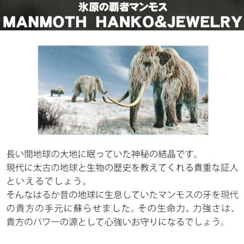 オーダー印鑑❤️龍雲式☆姓名判断鑑定書付☆マンモス印鑑セット❗16.5  