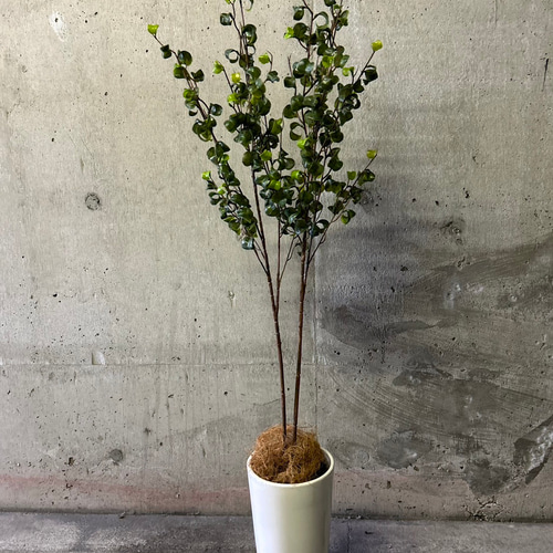 光触媒人工観葉植物ウォールグリーンフェイクグリーンベンジャミン