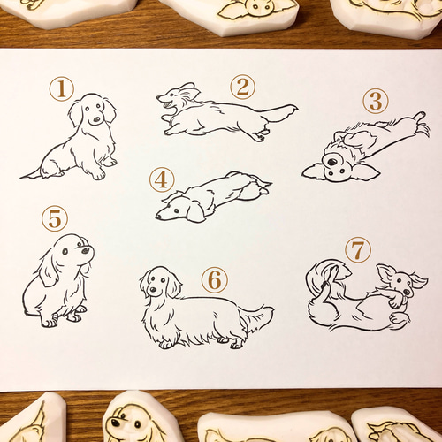 ご依頼参考作品の下図　ダックスフント ダックスフンドの描き方がステップアップする！便利な下図5選