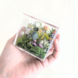 プリザーブドフラワー緑の薔薇9輪とかすみ草の花束 プリザーブド