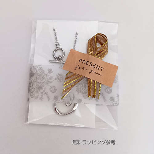 上品 シンプル 軽い 長さ カラー選べるメガネホルダー ロング