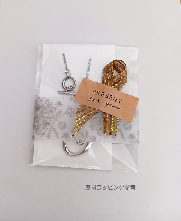 上品 シンプル 軽いメガネホルダー ネックレス 老眼鏡 サングラス  長さ カラー選べる 旅行 ドライブ アレルギー対応 16枚目の画像