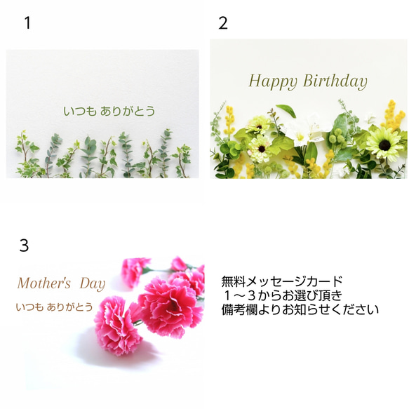 上品 シンプル 軽いメガネホルダー ネックレス 老眼鏡 サングラス  長さ カラー選べる 旅行 ドライブ アレルギー対応 15枚目の画像