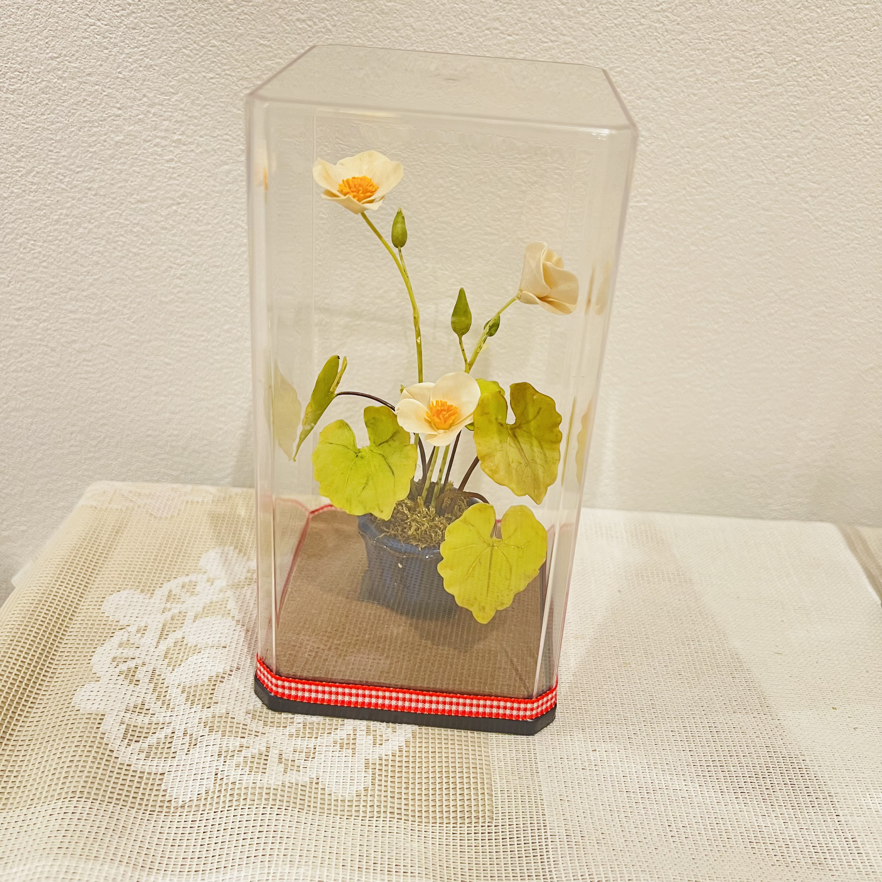 粘土盆栽　白雪芥子