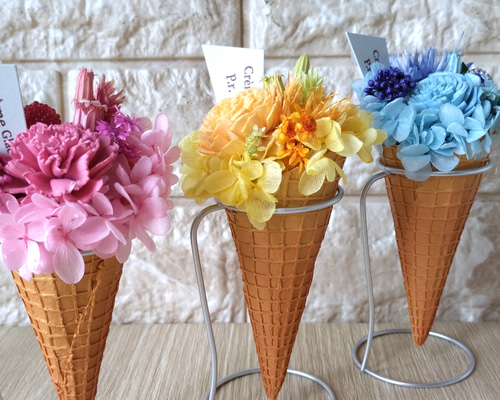 ドライフラワー sarashi_l_sp.jpg