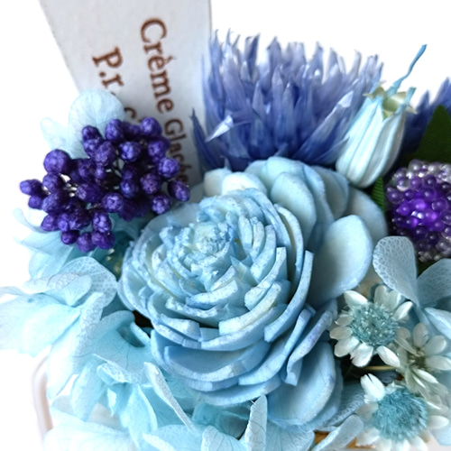 ドライフラワー寄せ植え CT触媒加工 アイスコーン ドライフラワー 花