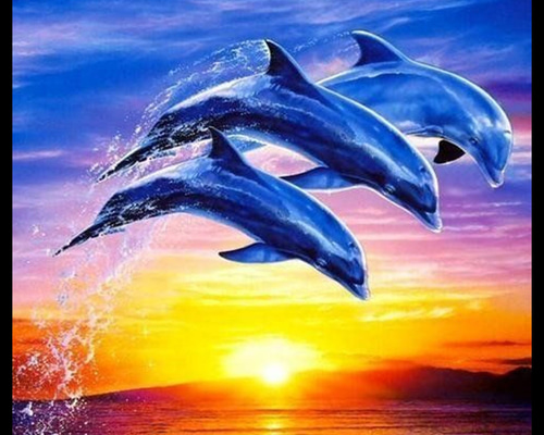 マリンアート アートポスター インテリアポスターa4 No.l-0017 写真