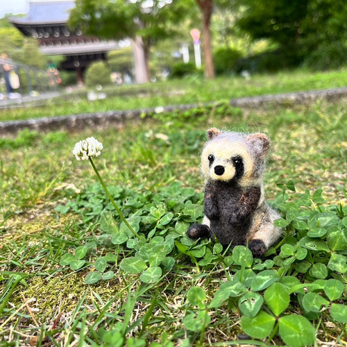 羊毛フェルト たぬき 置物 羊毛フェルト toiro 通販 17880206｜Creema