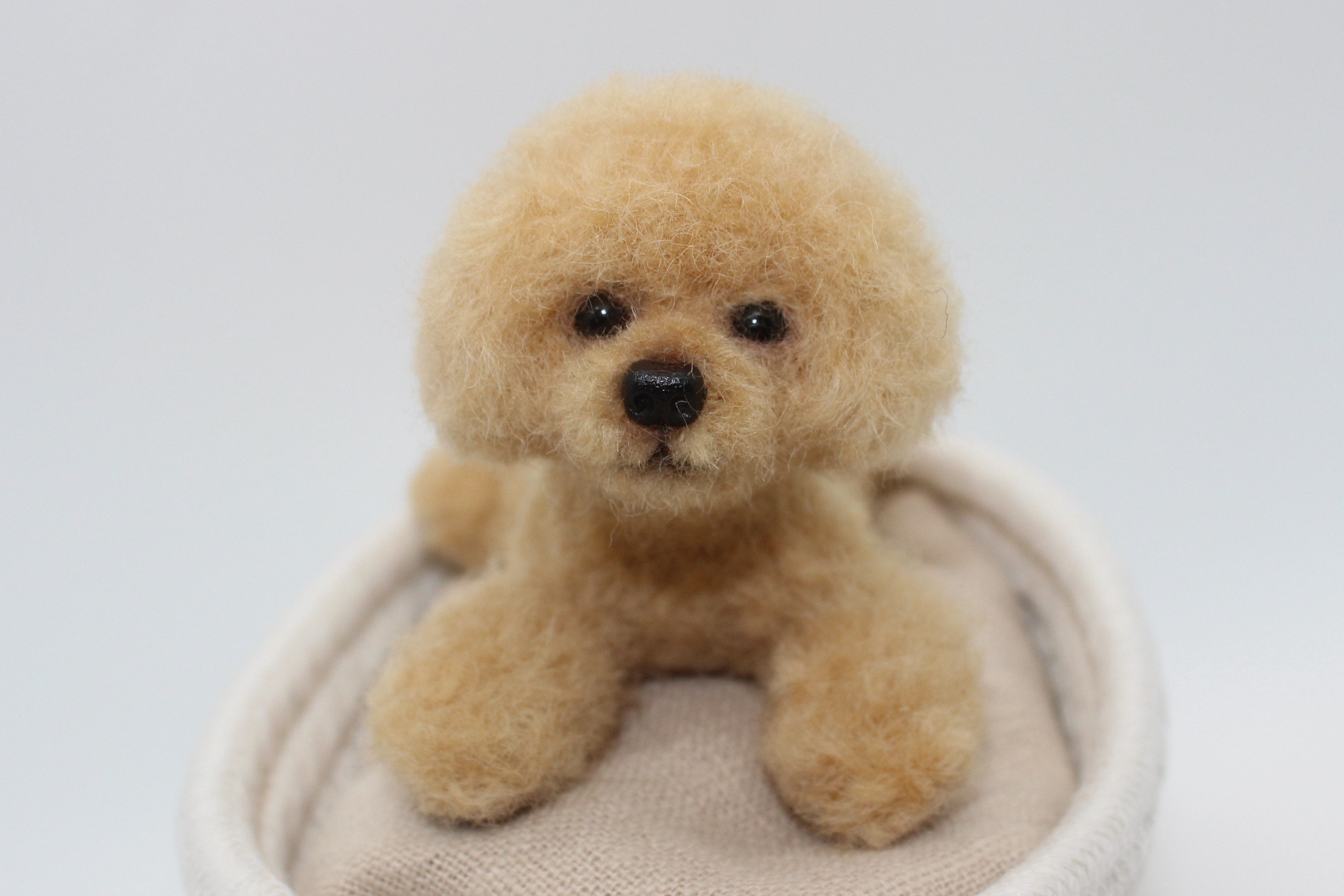 ななちゃん様専用】ハンドメイド トイプードル 12/21