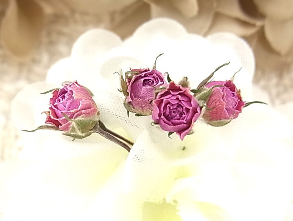 ドライフラワー❇️ミニバラ❣️ 花材 ミニバラ ドライフラワー 極小ミニバラ 2024年6月咲き