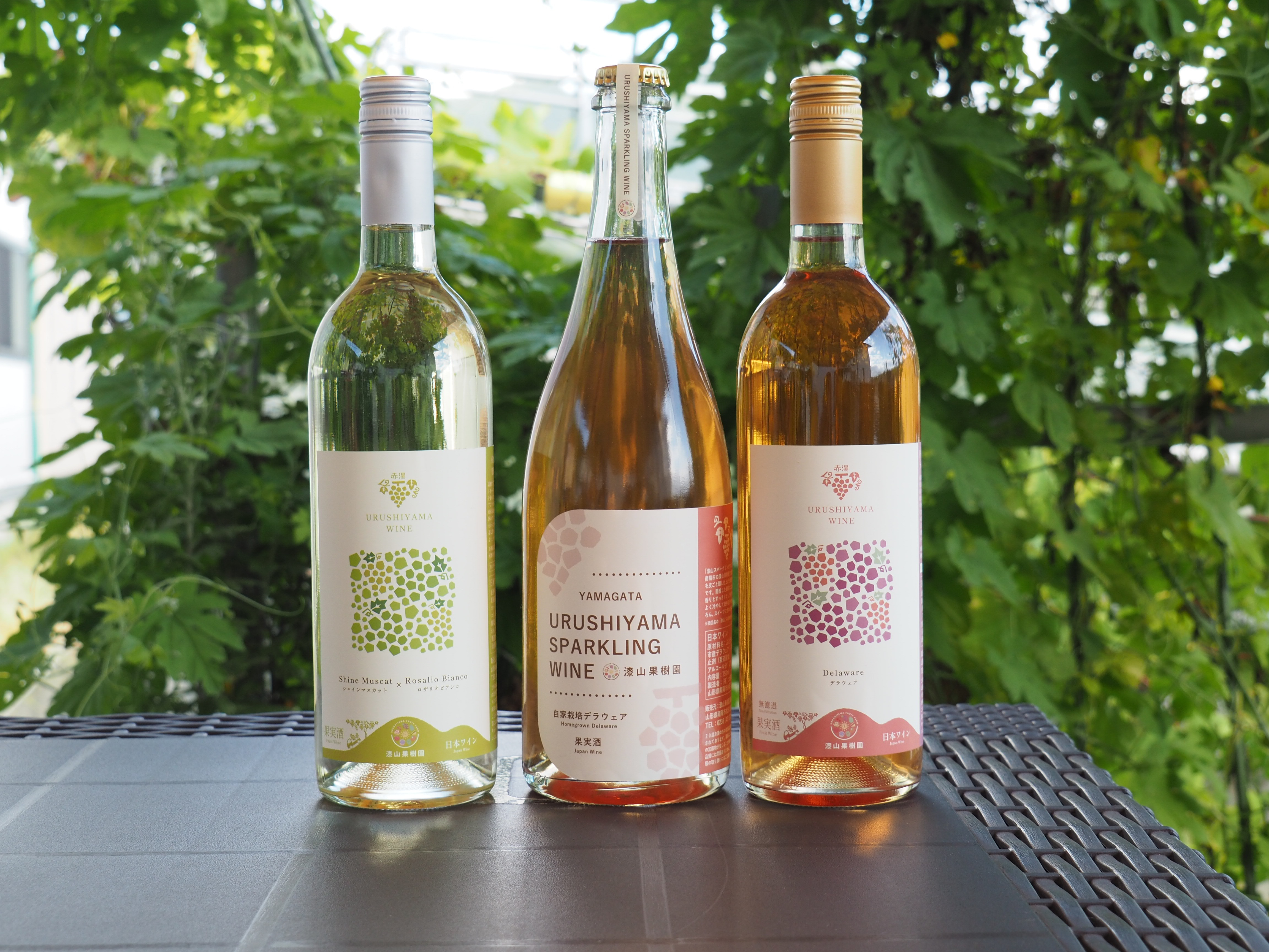 【ギフトや手土産に】漆山果樹園ワイン3本セット★自家栽培デラウェアワインとシャインマスカット×ロザリオビアンコワイン