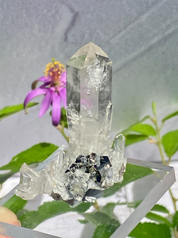 パイライト 原石 ペルー ペルー産 パイライト with クォーツ 原石 19