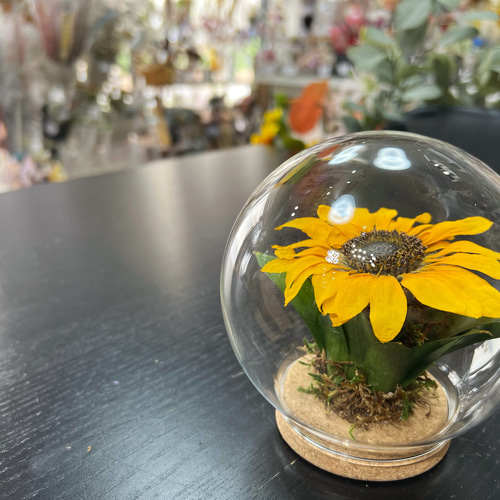 ✾ᵗʱᵃᵑᵏᵧₒᵤ販売×7✾【オビツ11】おでかけひまわりドレス①ガラスドーム付 ✾ᵗʱᵃᵑᵏᵧₒᵤ販売×7✾【オビツ11】おでかけひまわりドレス①ガラス