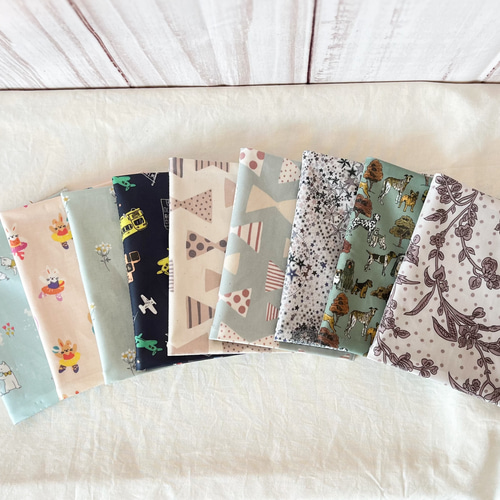 薄型コンパクト⭐︎母子手帳ケース＊お薬手帳ケース / ラミネート