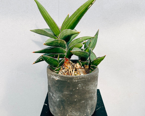 790961f4e5d32ab9a711f0f91de198