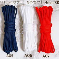 高品質 パラコード 4mm 7芯 6m 2本セット バックル付き 首輪 リード