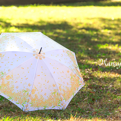 ギンギラギンにさりげなく シックスムーンデザインズ カーボン 折