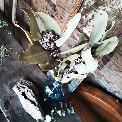 2.テトラゴナナッツフレッシュ生花ユーカリ